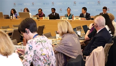 WTO skal gjennomgå amerikanske skattekreditter under inflasjonsreduksjonslove...