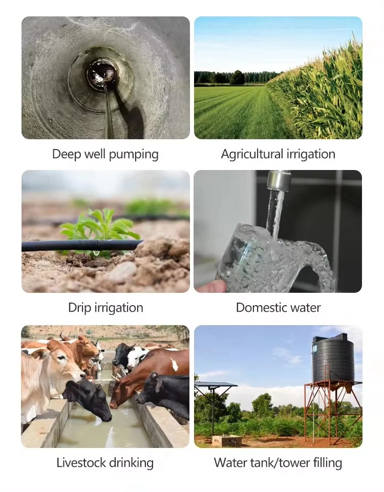 DC solar water backup sump pump