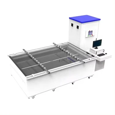 300MW dobbeltglass solcellepanel samlelinje